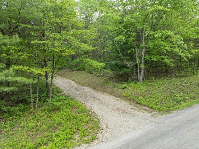 0 Santoy Rd, Corning, OH 43730 - photo 6