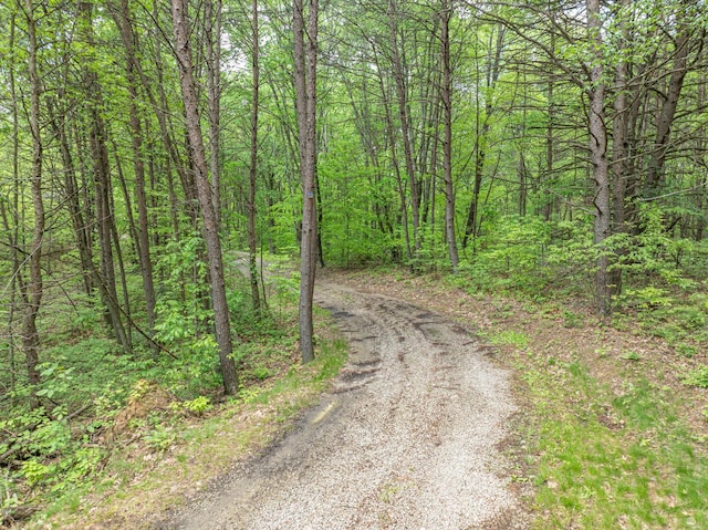 0 Santoy Rd, Corning, OH 43730 - photo 8