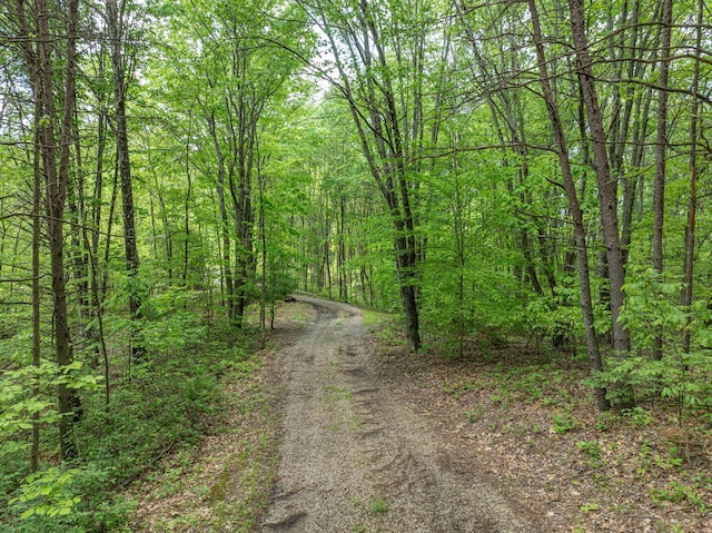 0 Santoy Rd, Corning, OH 43730 - photo 9