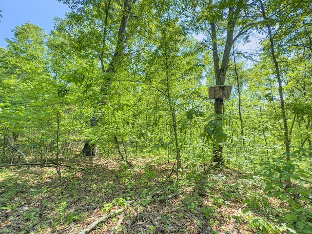 0 Santoy Rd, Corning, OH 43730 - photo 22