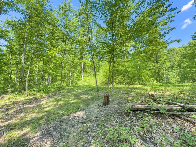 0 Santoy Rd, Corning, OH 43730 - photo 23
