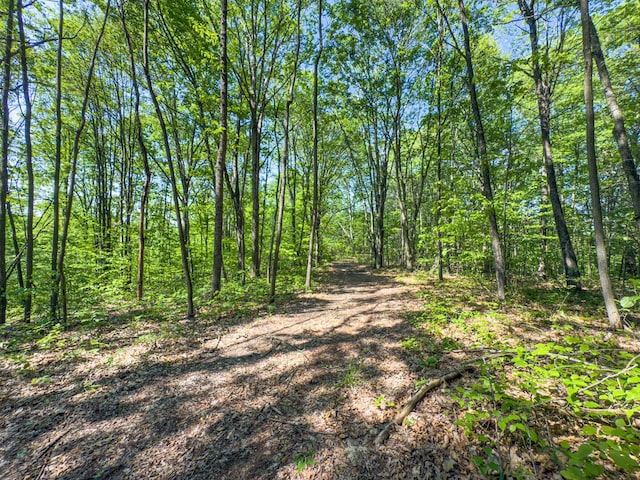 0 Santoy Rd, Corning, OH 43730 - photo 24