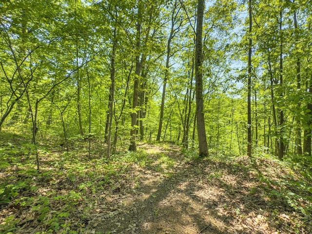 0 Santoy Rd, Corning, OH 43730 - photo 25