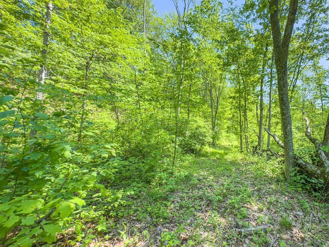 0 Santoy Rd, Corning, OH 43730 - photo 30