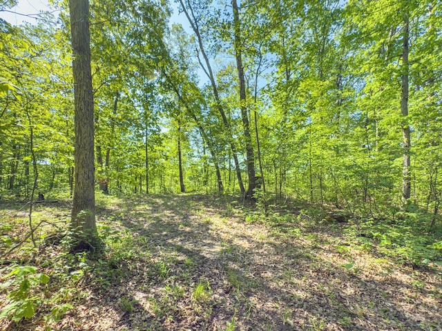 0 Santoy Rd, Corning, OH 43730 - photo 31