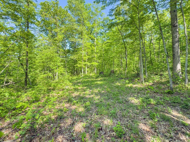 0 Santoy Rd, Corning, OH 43730 - photo 32