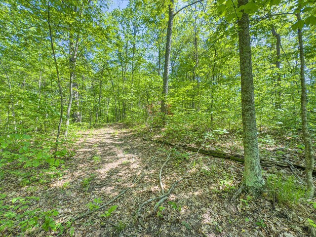 0 Santoy Rd, Corning, OH 43730 - photo 33