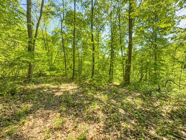 0 Santoy Rd, Corning, OH 43730 - photo 34