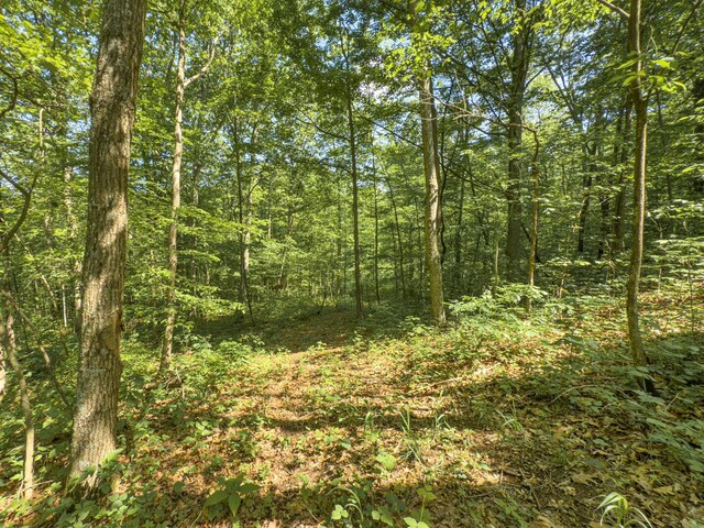 0 Santoy Rd, Corning, OH 43730 - photo 35
