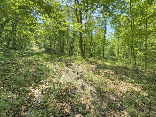 0 Santoy Rd, Corning, OH 43730 - photo 36