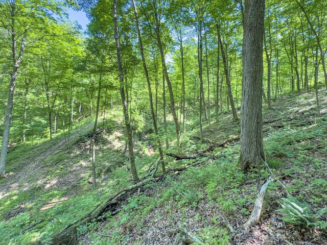 0 Santoy Rd, Corning, OH 43730 - photo 37