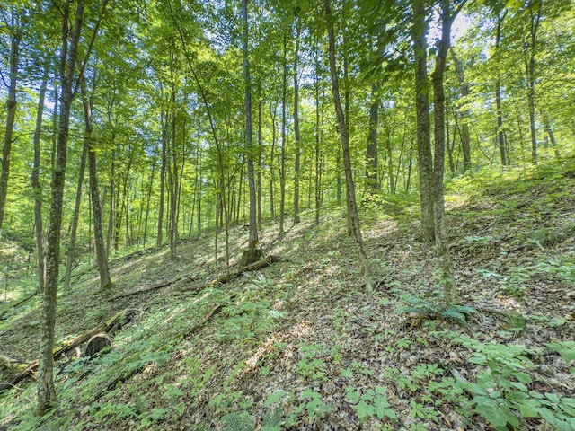 0 Santoy Rd, Corning, OH 43730 - photo 38