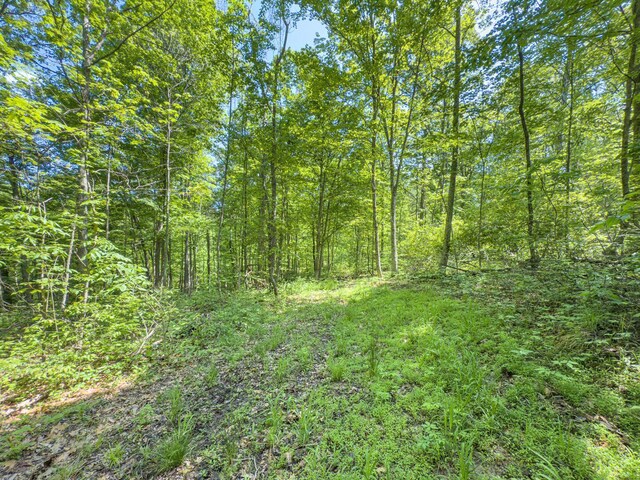 0 Santoy Rd, Corning, OH 43730 - photo 39
