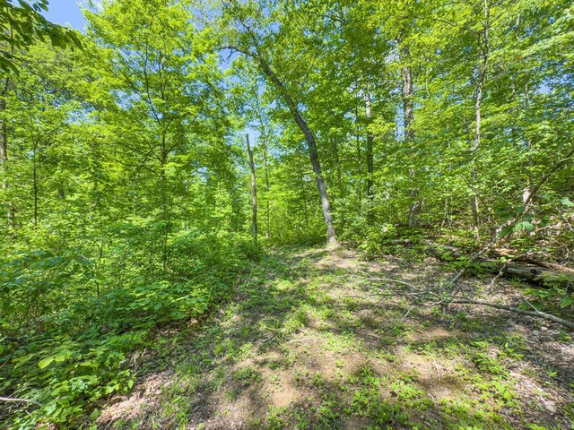 0 Santoy Rd, Corning, OH 43730 - photo 40
