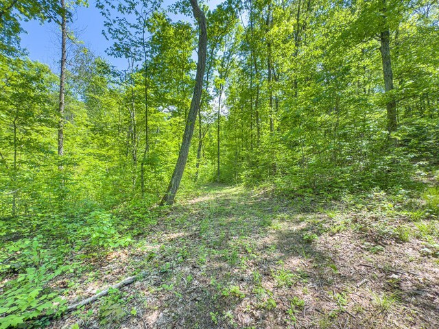 0 Santoy Rd, Corning, OH 43730 - photo 41