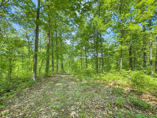 0 Santoy Rd, Corning, OH 43730 - photo 42