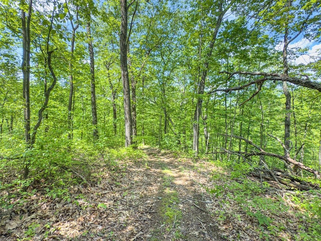 0 Santoy Rd, Corning, OH 43730 - photo 43