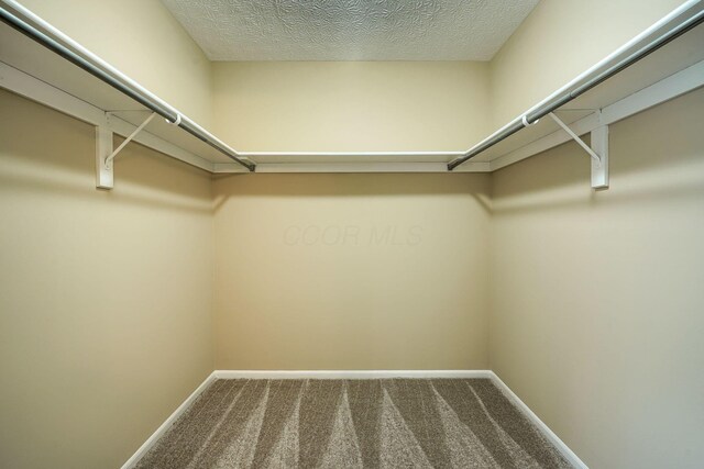 7726 Farmsbury Dr, Reynoldsburg, OH 43068 - photo 36
