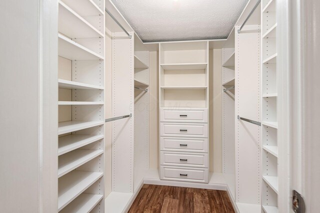8800 Greenburg Dr, Powell, OH 43065 - spacious closet with dark wood-style flooring