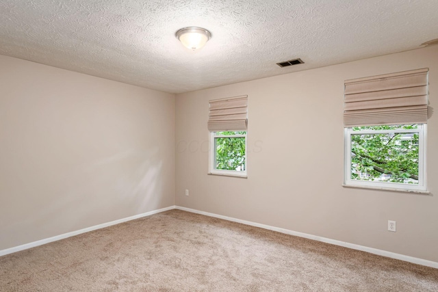 8800 Greenburg Dr, Powell, OH 43065 - spare room with carpet floors, healthy amount of natural light, a textured ceiling, and baseboards