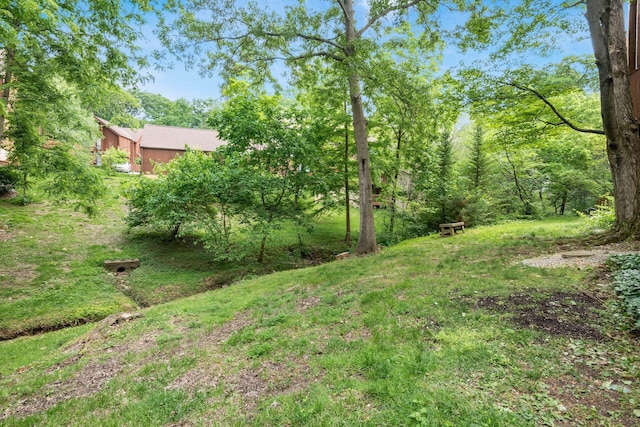 4958 Wintersong Ln, Westerville, OH 43081 - photo 16