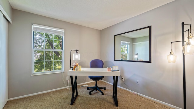 5225 Springdale Blvd, Hilliard, OH 43026 - home office featuring carpet flooring