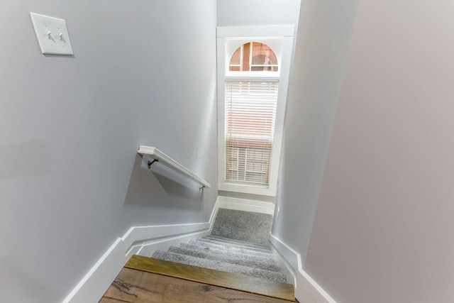 1167 Neil Ave, Columbus, OH 43201 - stairs featuring baseboards