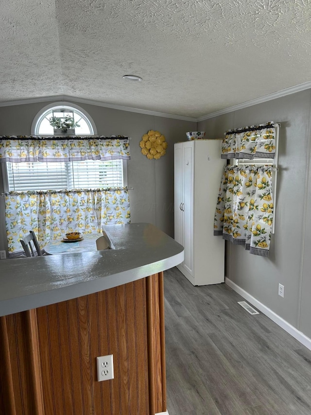 5019 N High St Unit 97, Columbus, OH 43214 - kitchen with dark wood-style floors, a textured ceiling, ornamental molding, and vaulted ceiling