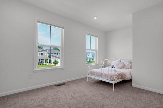 120 Heron Ave, Pataskala, OH 43062 - bedroom featuring multiple windows and carpet
