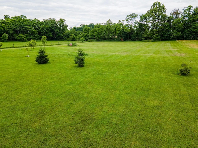4091 Township Road 21, Marengo, OH 43334 - view of yard