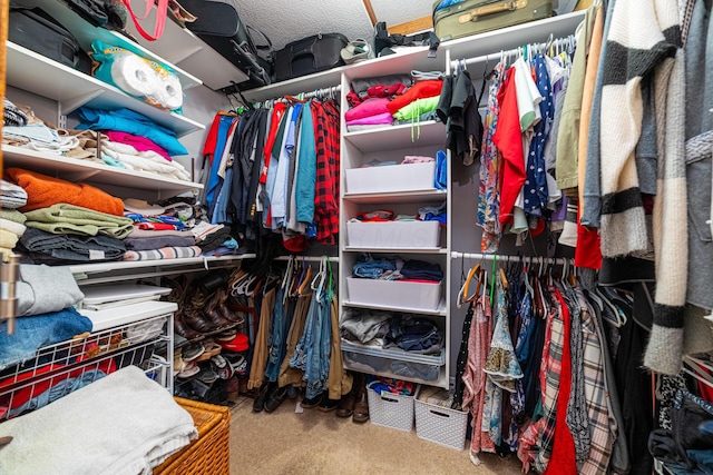 4091 Township Road 21, Marengo, OH 43334 - walk in closet featuring carpet