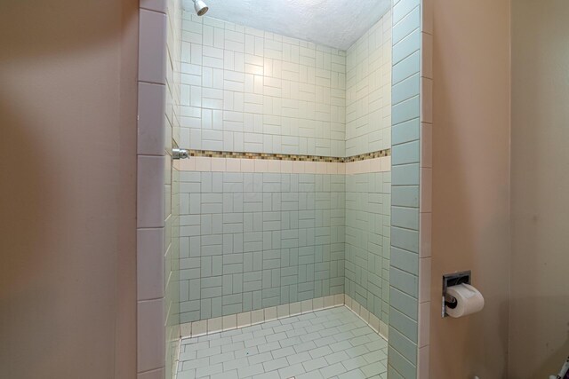 4091 Township Road 21, Marengo, OH 43334 - full bathroom featuring a tile shower and tile patterned floors