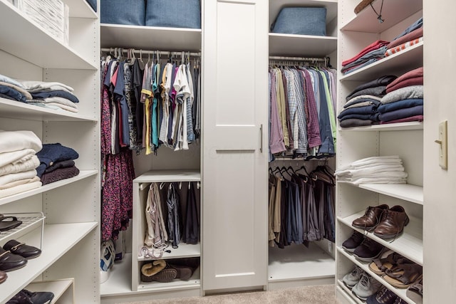 2461 Abbey Knoll Dr, Lewis Center, OH 43035 - view of walk in closet