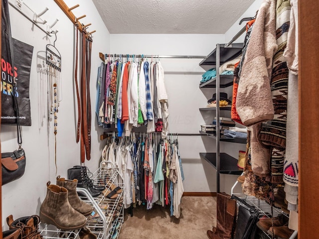 8120 Morgan Rd, West Jefferson, OH 43162 - walk in closet with carpet floors