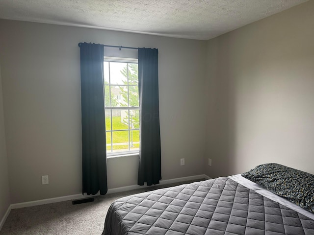 4227 Sestos Dr, Columbus, OH 43207 - bedroom featuring multiple windows, a textured ceiling, and carpet floors