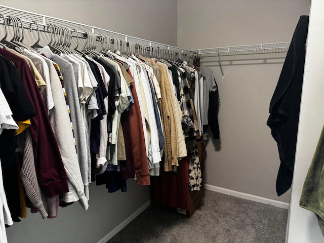 4227 Sestos Dr, Columbus, OH 43207 - spacious closet with carpet floors
