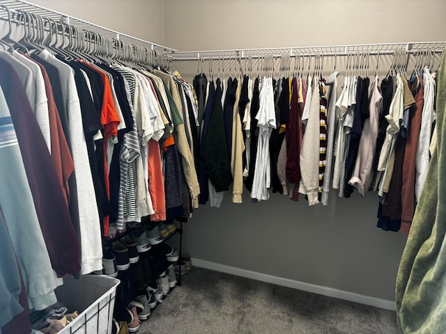 4227 Sestos Dr, Columbus, OH 43207 - walk in closet featuring carpet