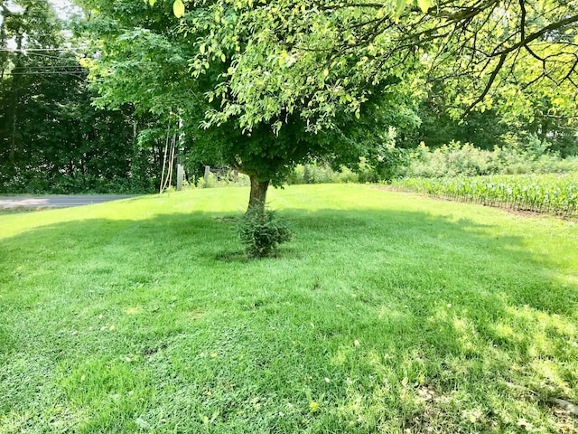8023 County Road 30, Somerset, OH 43783 - view of grassy yard