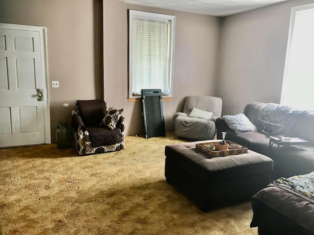 8023 County Road 30, Somerset, OH 43783 - living area with carpet