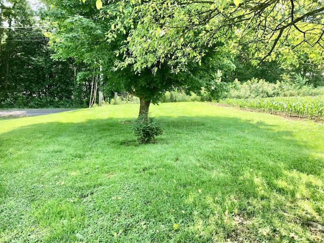 8023 County Road 30, Somerset, OH 43783 - view of green lawn