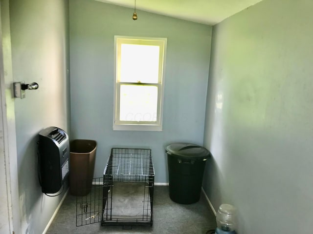 8023 County Road 30, Somerset, OH 43783 - miscellaneous room with carpet and baseboards