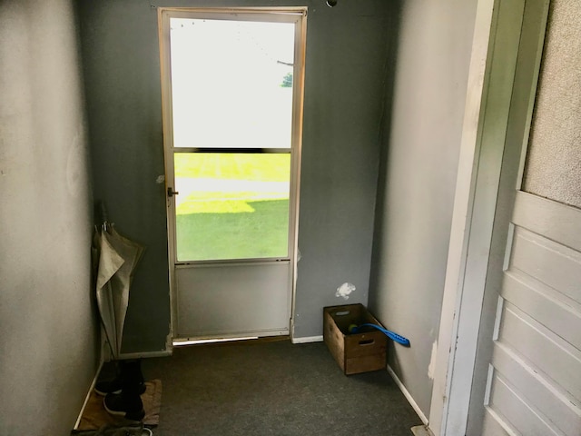 8023 County Road 30, Somerset, OH 43783 - doorway to outside featuring plenty of natural light and carpet