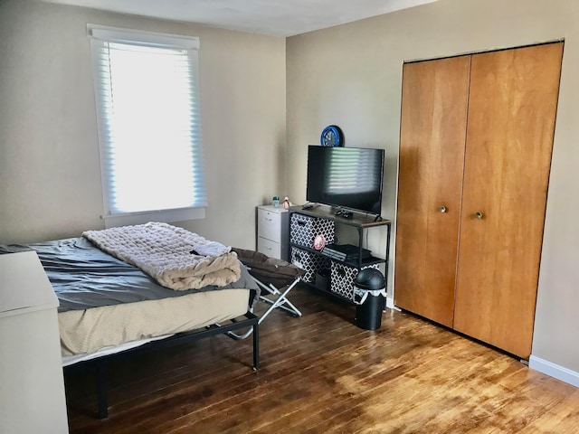8023 County Road 30, Somerset, OH 43783 - bedroom featuring wood finished floors, multiple windows, and a closet
