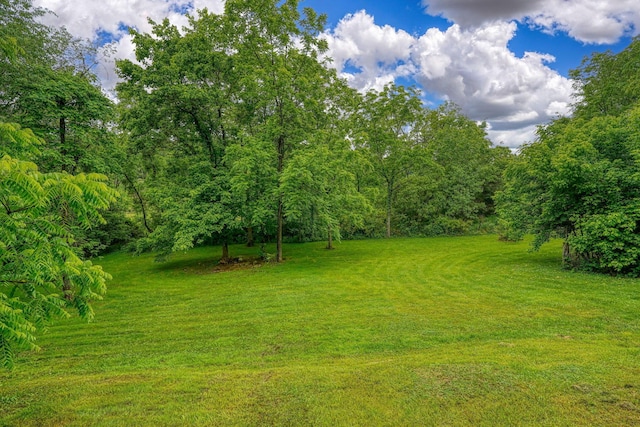 4137 Dry Run Rd, Chillicothe, OH 45601 - view of grassy yard with a wooded view