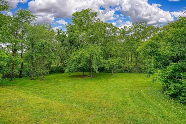 4137 Dry Run Rd, Chillicothe, OH 45601 - view of green lawn with a wooded view