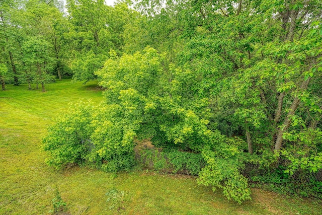 4137 Dry Run Rd, Chillicothe, OH 45601 - view of woods