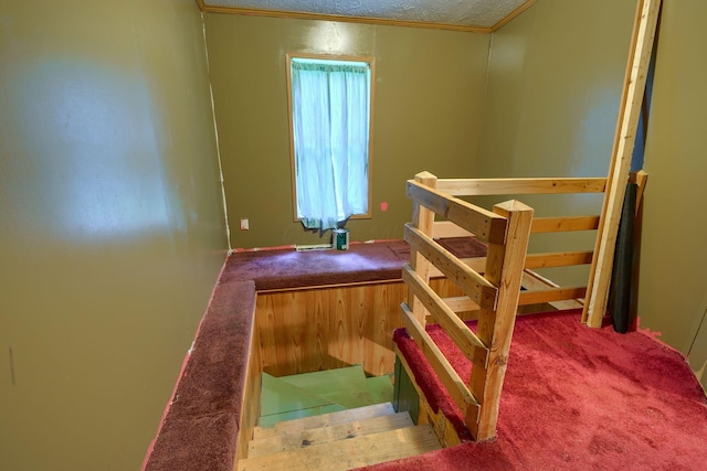 4137 Dry Run Rd, Chillicothe, OH 45601 - stairway featuring carpet flooring, crown molding, and a textured ceiling