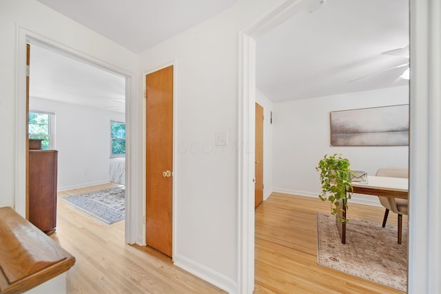 1809 NW Ct Unit C, Columbus, OH 43212 - hall featuring wood finished floors and baseboards