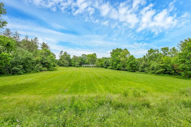 6579 Clay Ct E, Canal Winchester, OH 43110 - view of green lawn