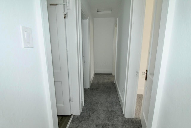 552 Southwood Ave, Columbus, OH 43207 - hall with carpet flooring